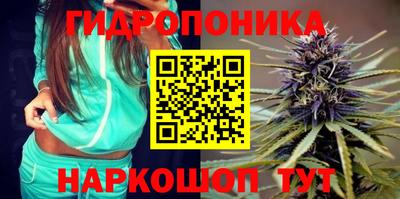 сатива Комсомольск-на-Амуре