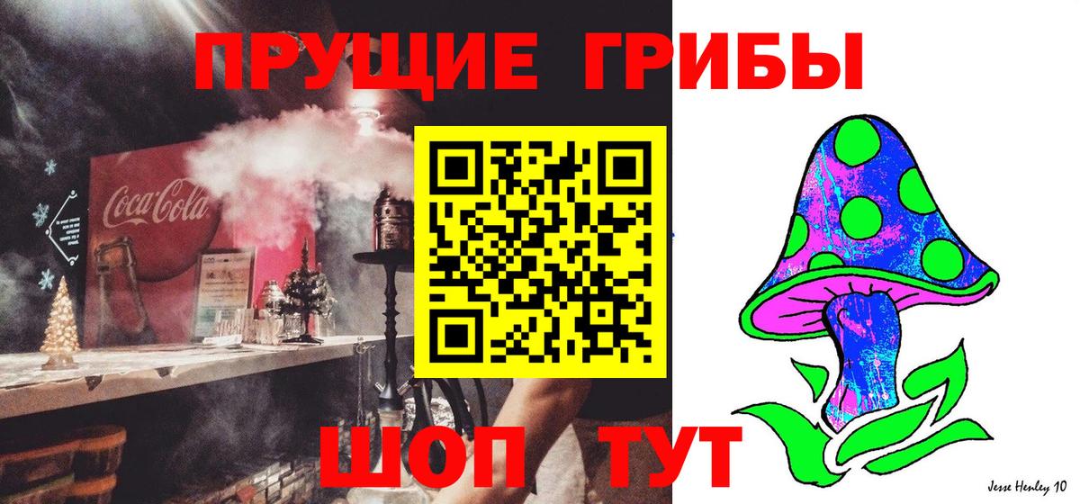 Галлюциногенные грибы Psilocybe Кизляр