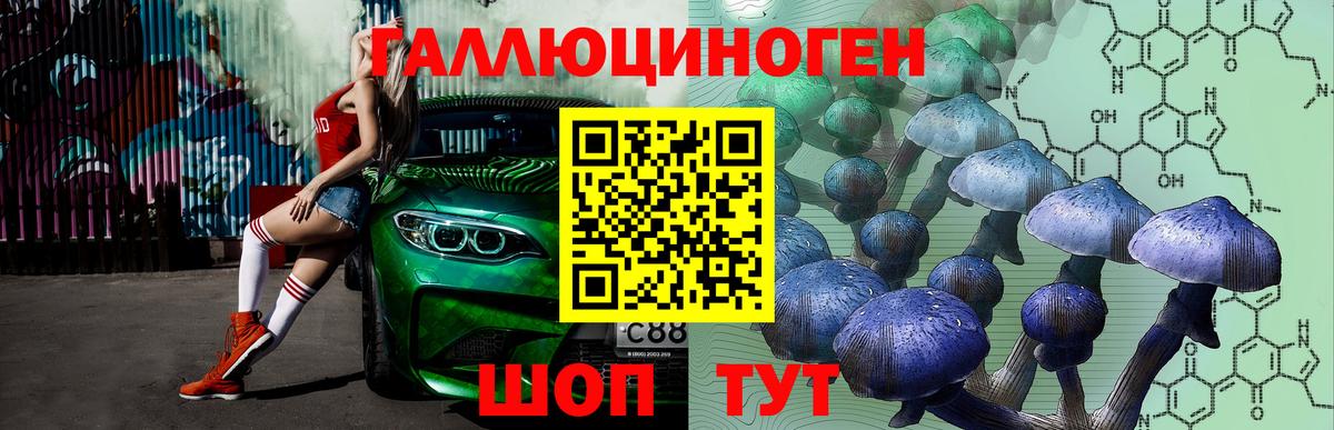 Псилоцибиновые грибы Magic Shrooms  Вход с VPN  Кизляр 